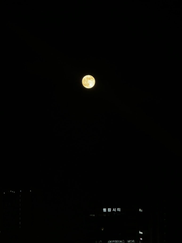청춘분식 이미지
