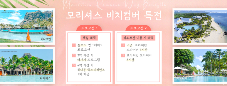 강남여행사 이미지