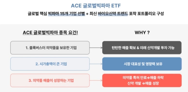 글로벌ACE 이미지