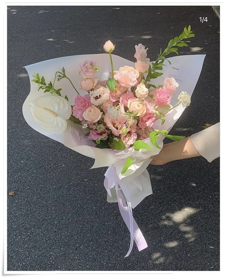피네화 이미지