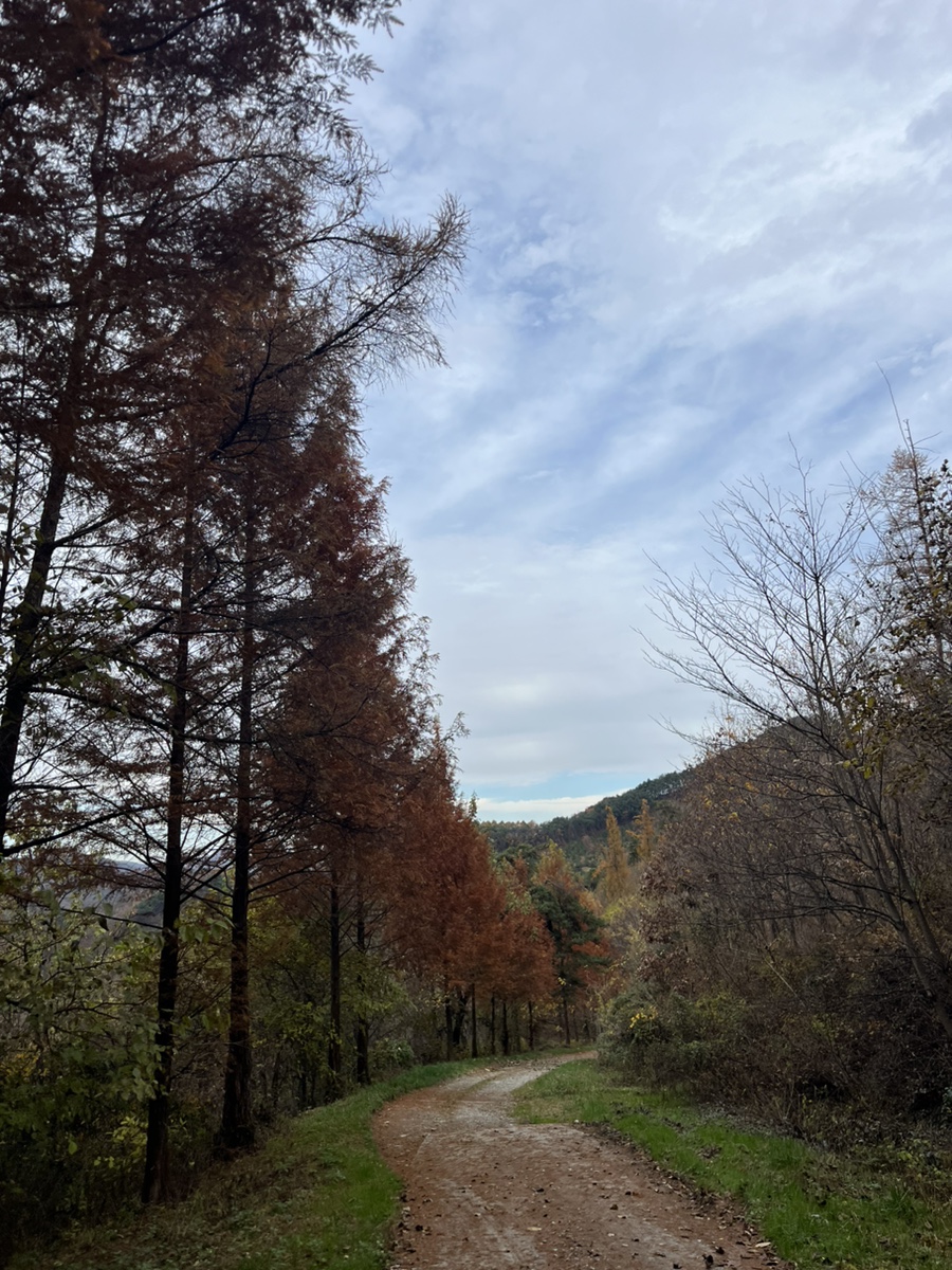 산골책방오두막상담소 이미지