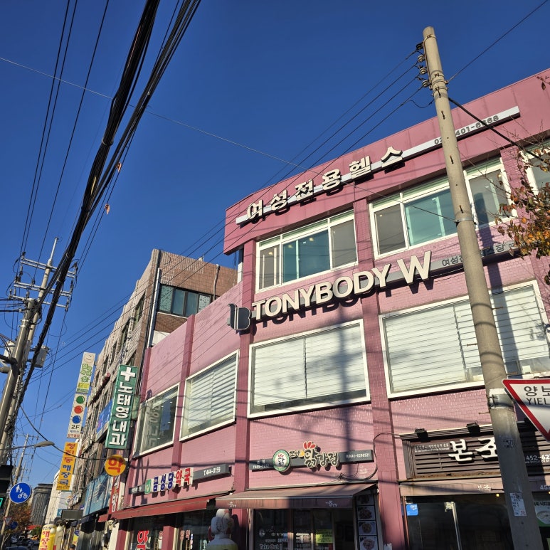 토니바디W 이미지