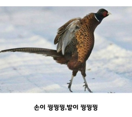 다윗전자 이미지