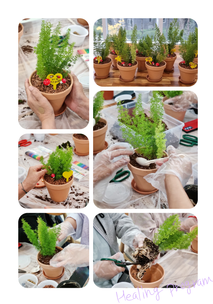보금한방병원 이미지