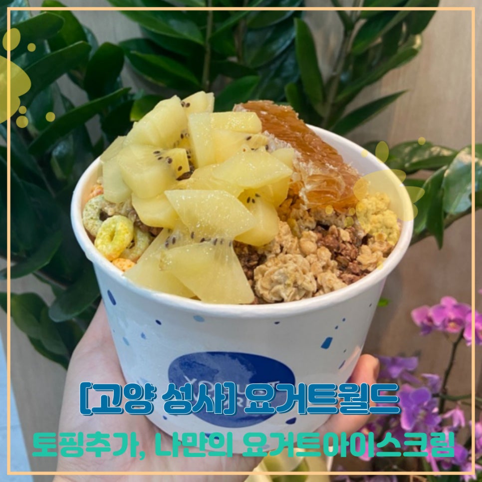 요거트월드신원당점 이미지