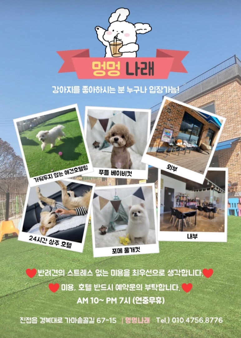 멍멍나래 이미지