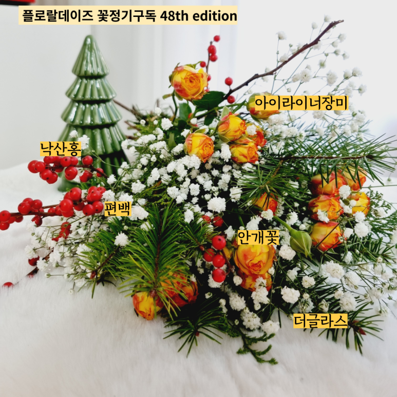 플로랄데이즈 이미지