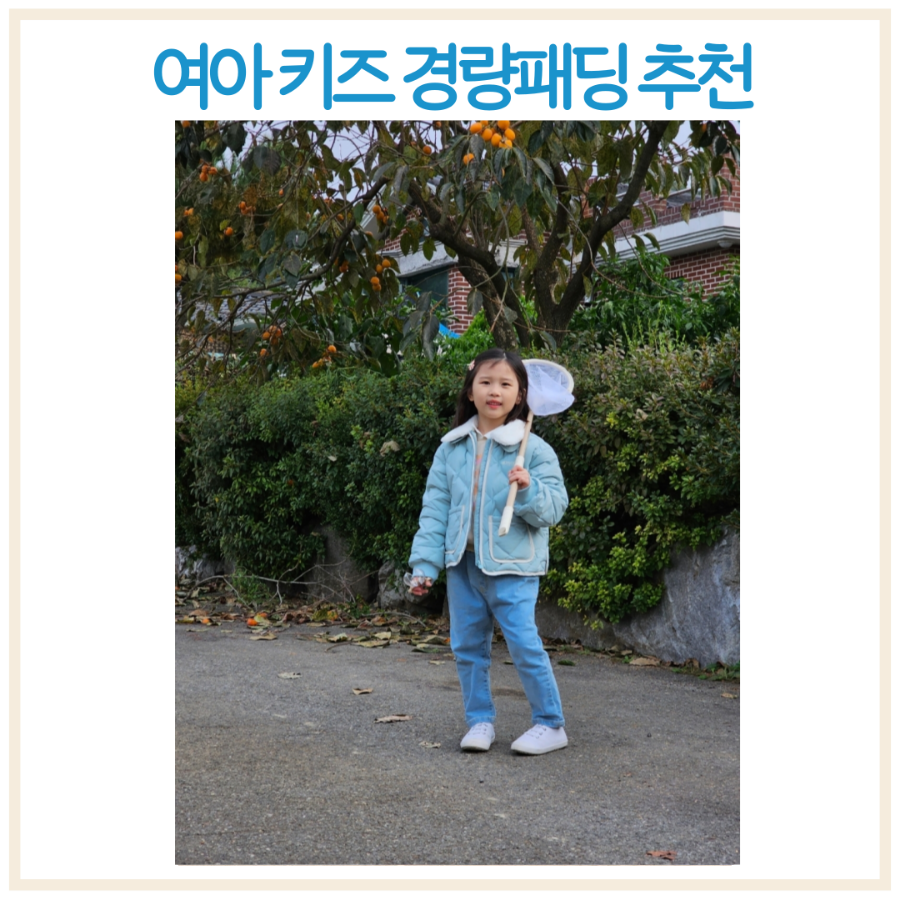 오토코디 이미지