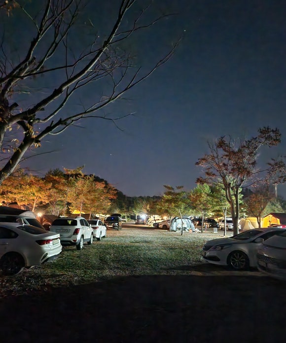 삼화리동광캠핑장 이미지