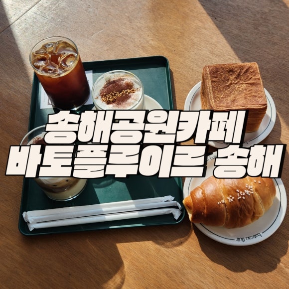 바토플루이르 송해 이미지