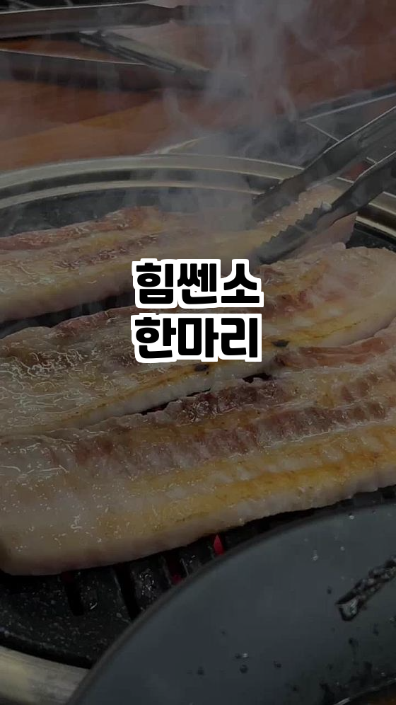 힘쎈소한마리 이미지