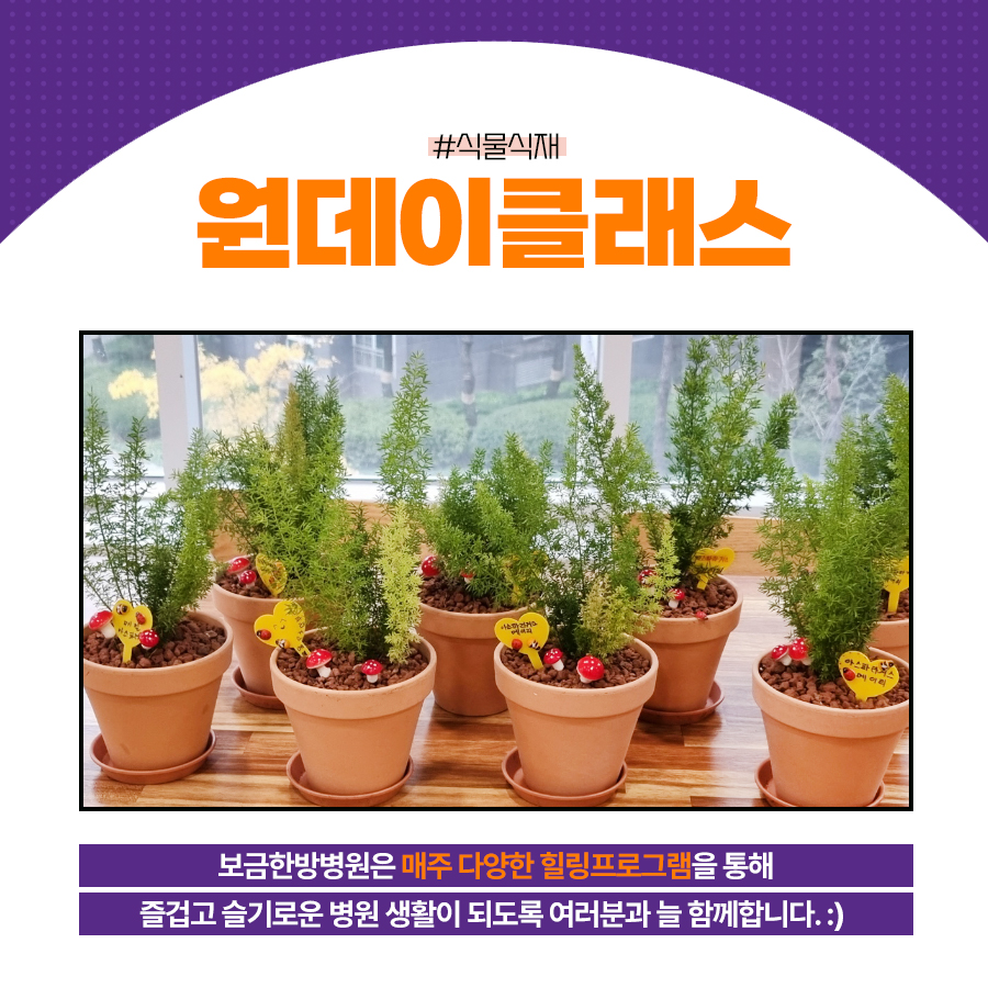보금한방병원 이미지
