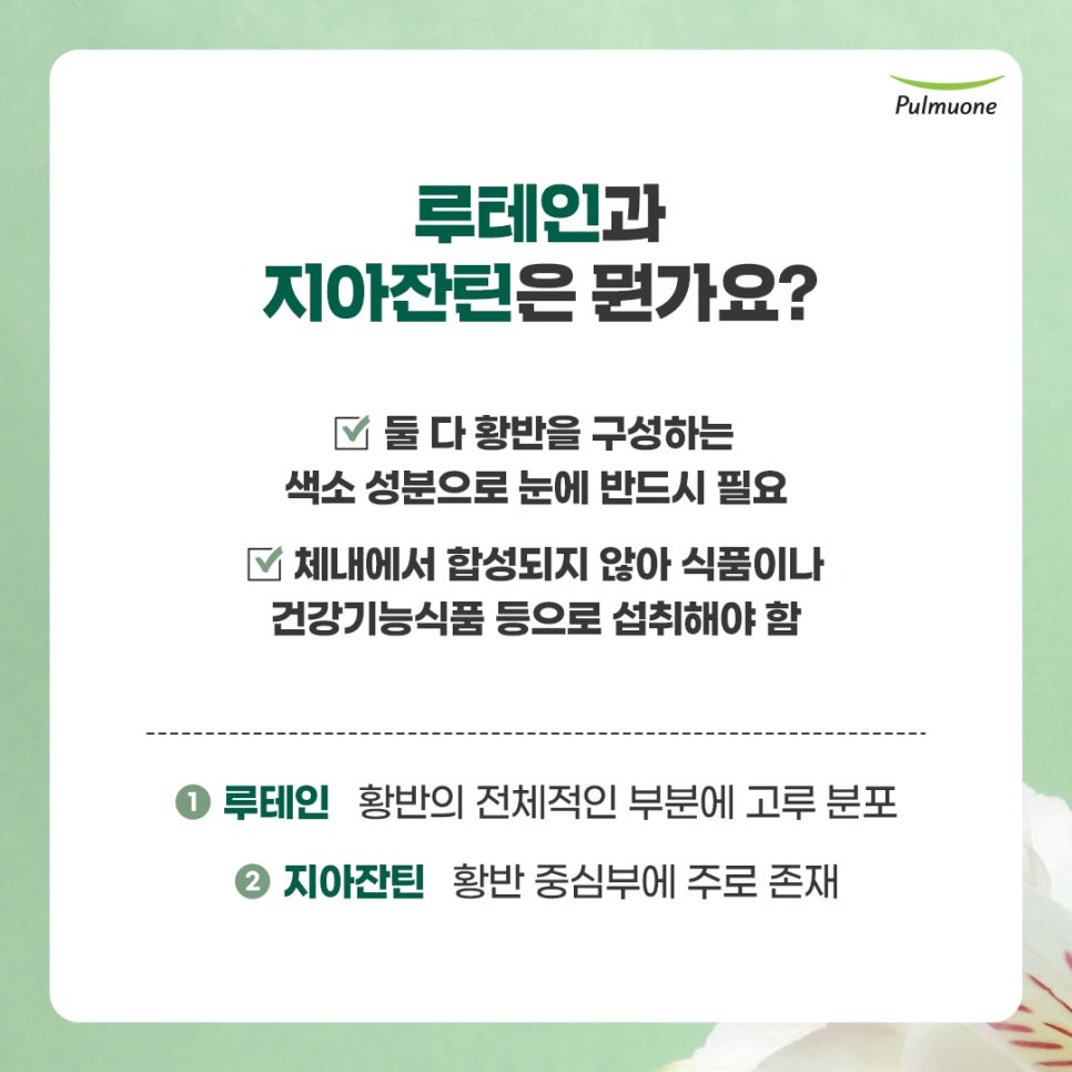 스마트안 이미지
