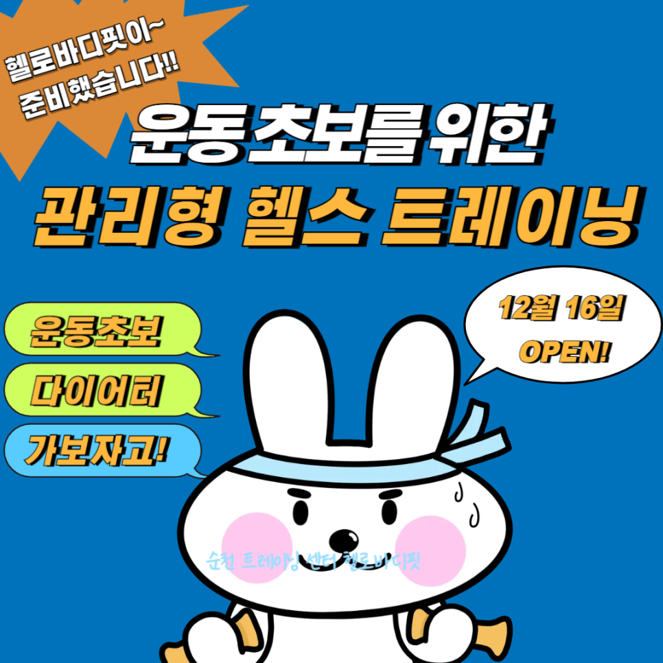 바디핏 이미지
