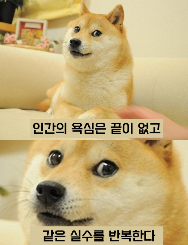 코인 이미지