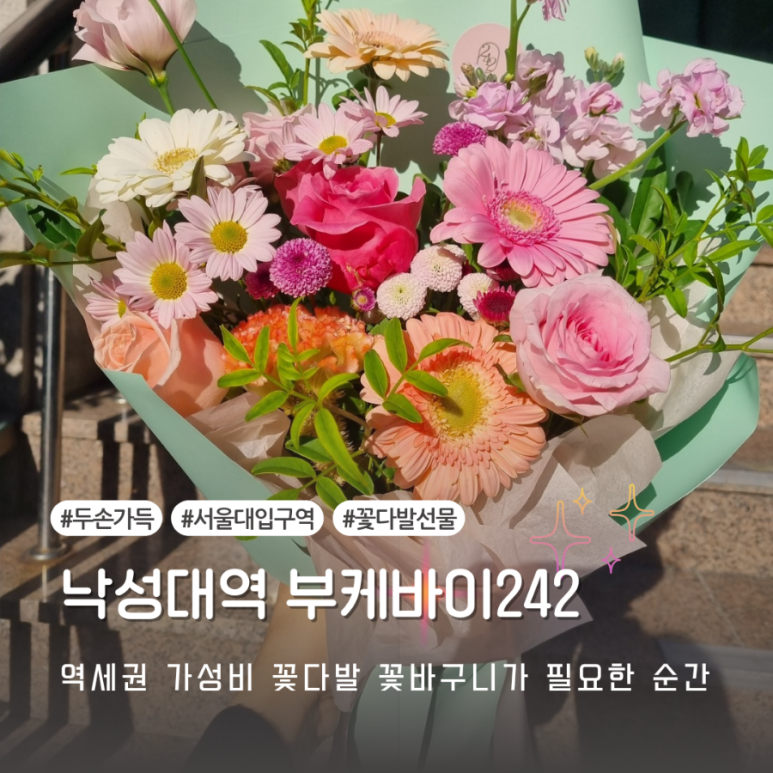 부케바이242 이미지