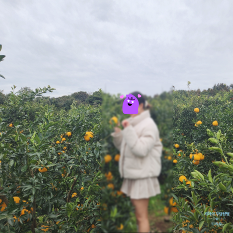 도련투어 이미지