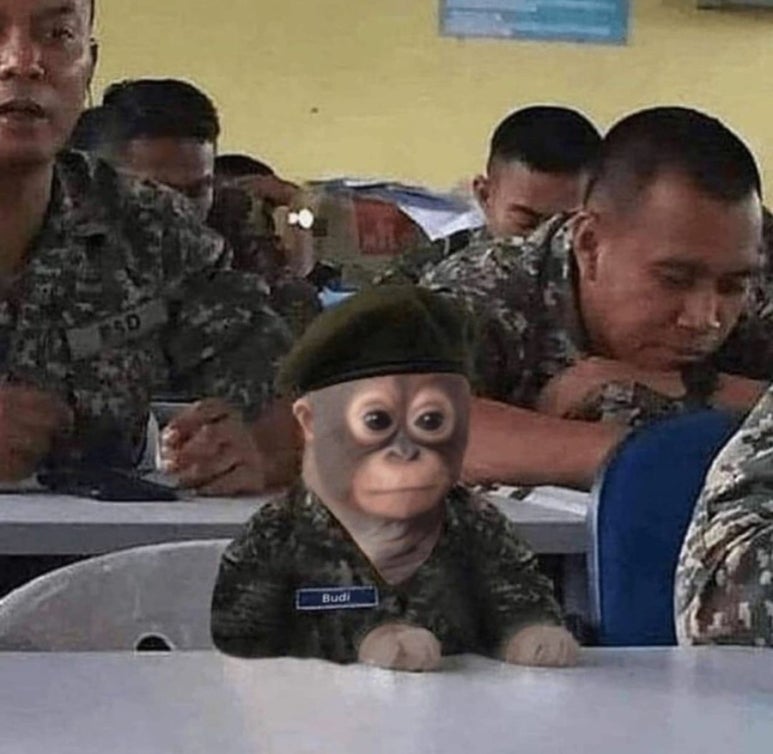 옥돈 이미지