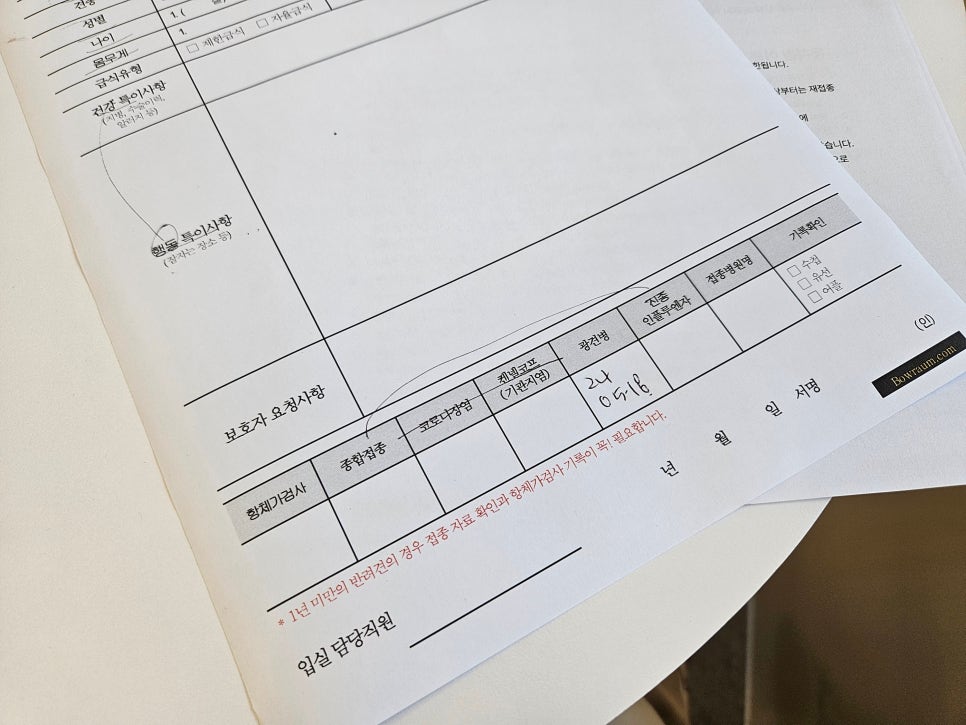 강남 강아지 유치원 바우라움, 행복한 하루 체험 후기 — 사진 5