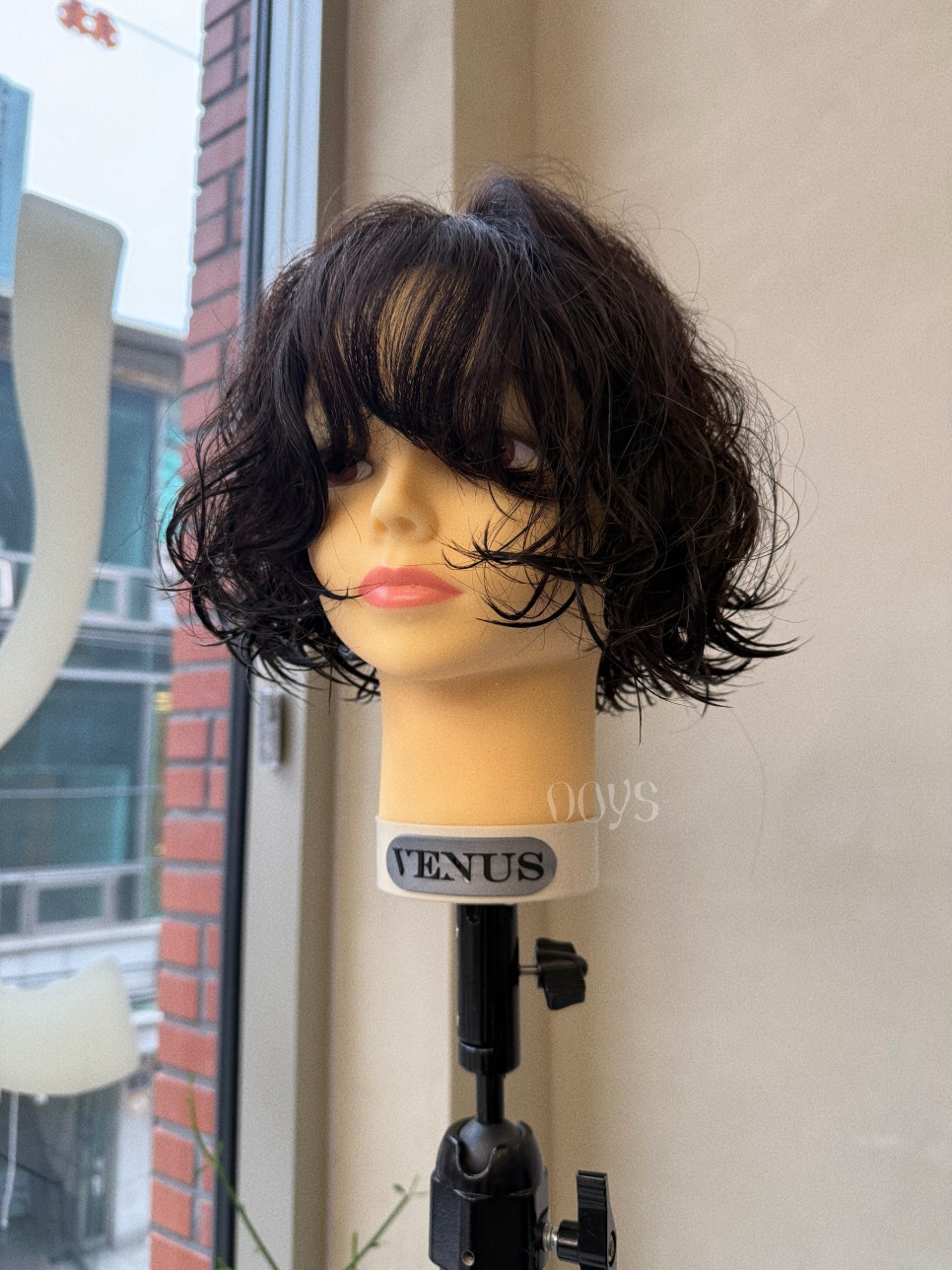 우이즈 이미지