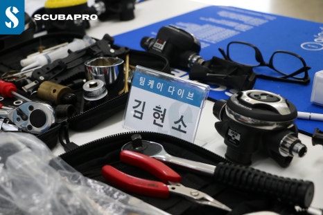 팀케이다이브 이미지