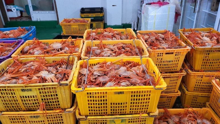 착한영덕수산 이미지