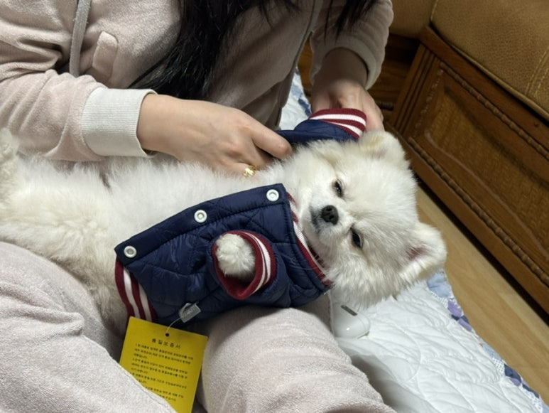 또옴 이미지