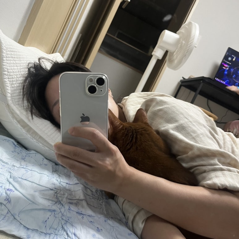 정훈이불 이미지