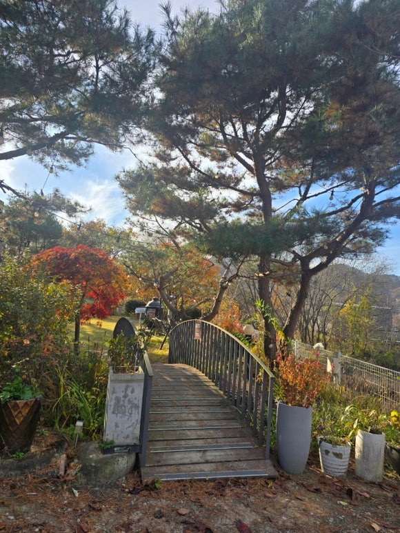 룰루랄라강하점 이미지