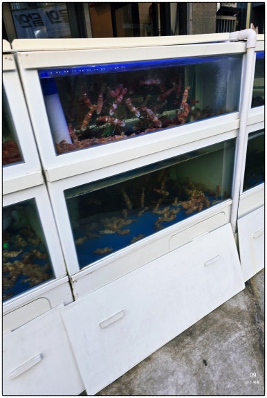 이어도조개전골구이 이미지
