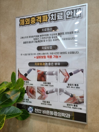 더바른마취통증의학과의원 이미지