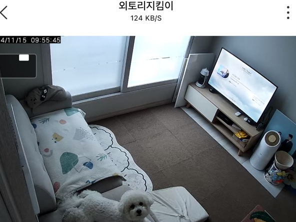 명진정육점 이미지