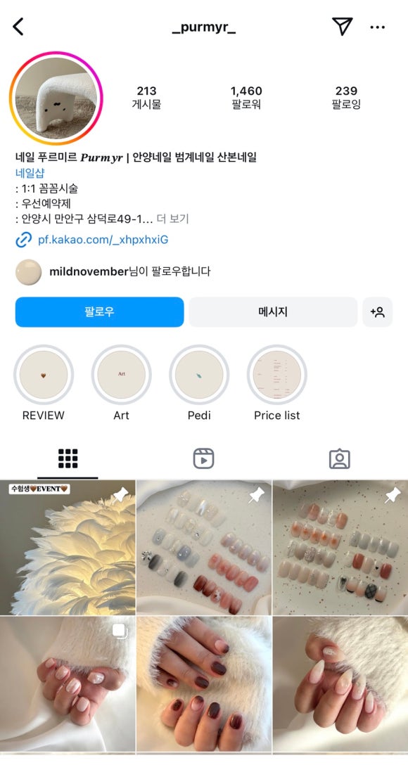 네일푸르미르 이미지
