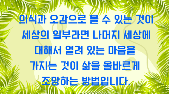 오감돈 이미지