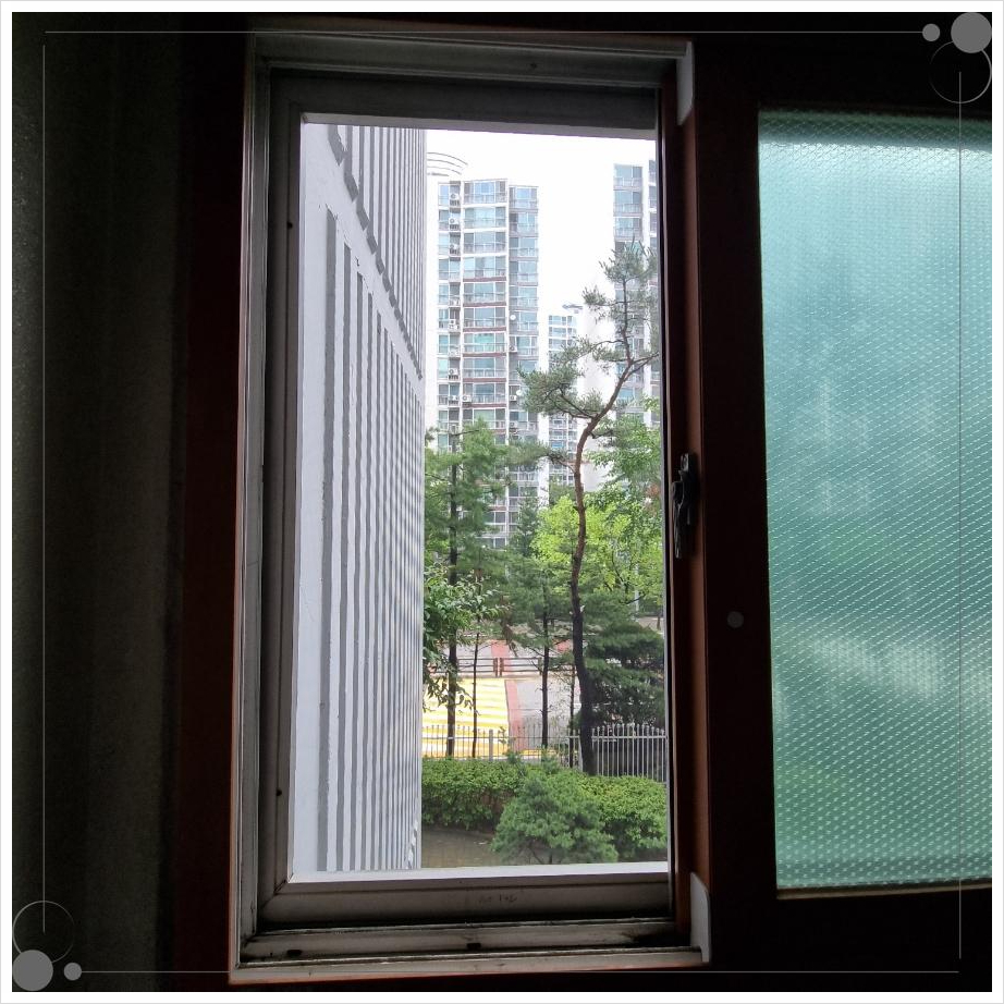 선명조경관리 이미지