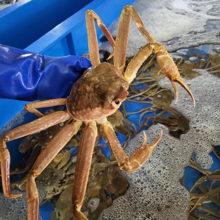 세양수산 이미지