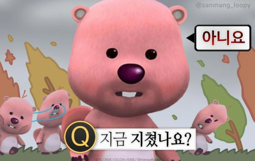 일카페 이미지