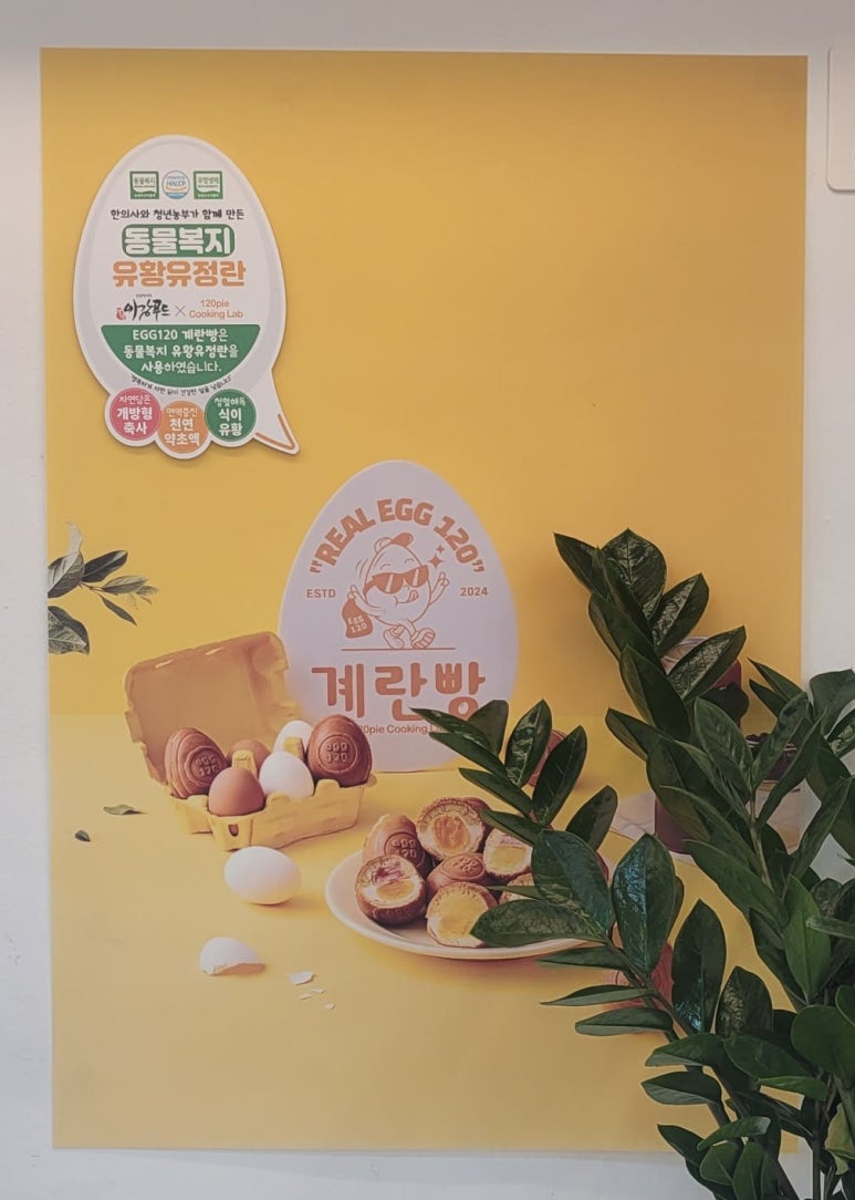 고투커피 이미지