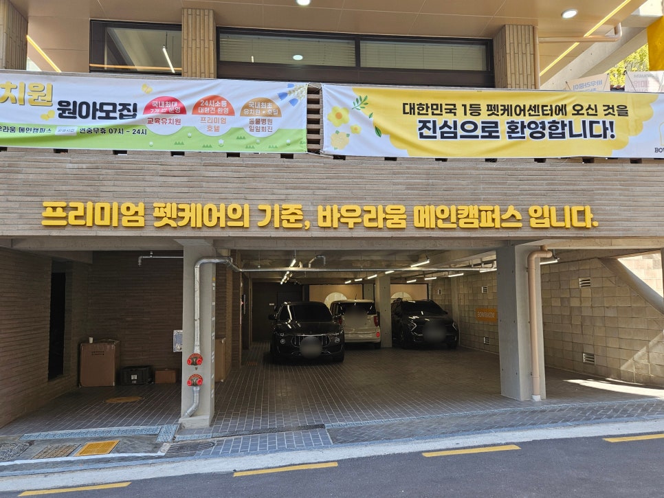 강남 강아지 유치원 바우라움, 행복한 하루 체험 후기 — 사진 3