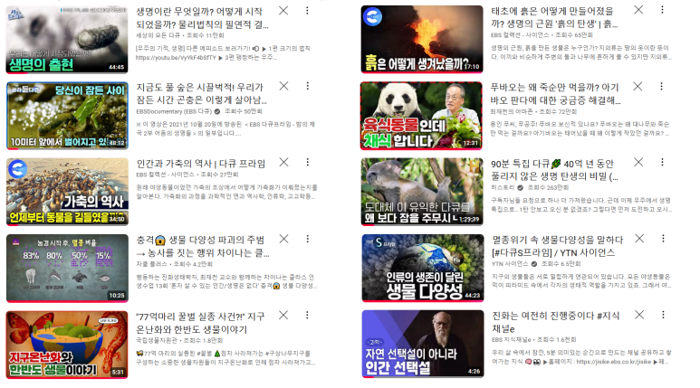 자연교육사 이미지