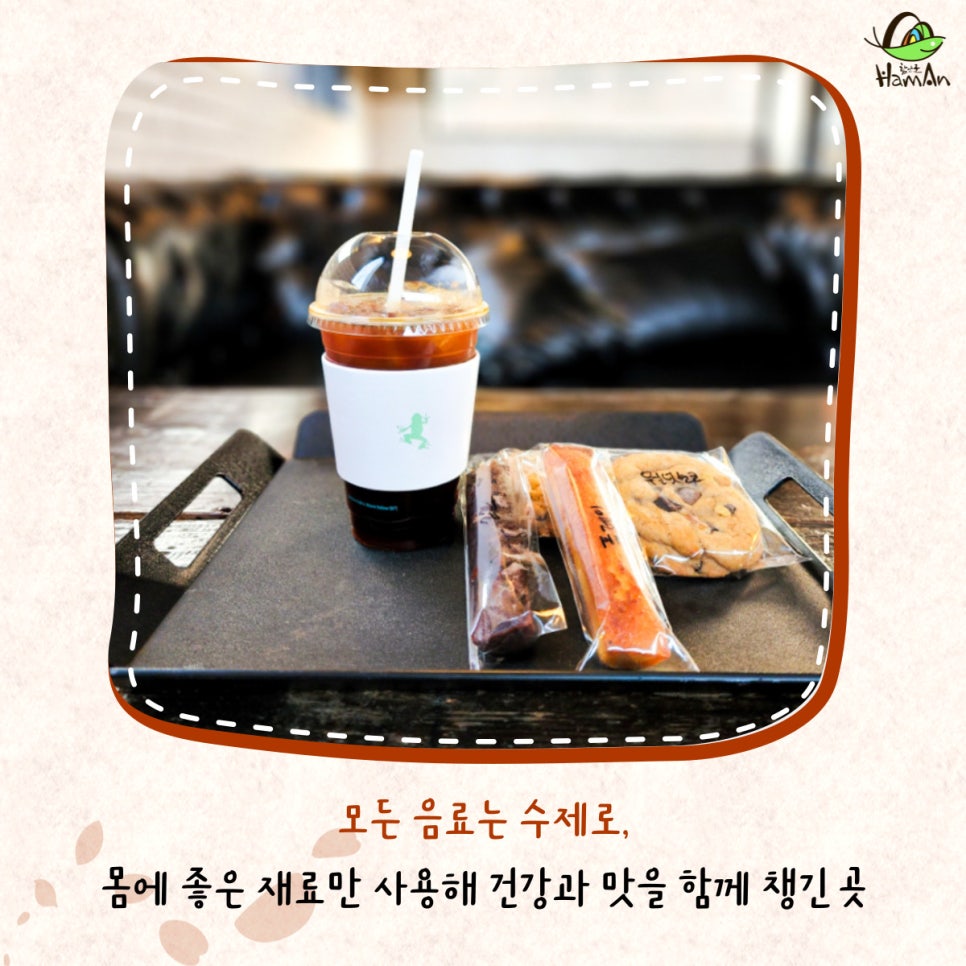 그린프로그 이미지