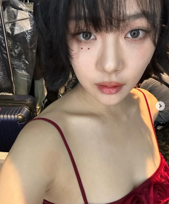 비비드레스 이미지