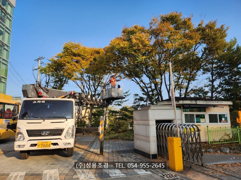 성용조경 이미지