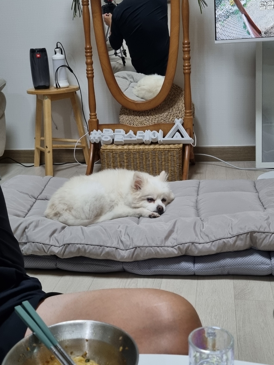 몽글스테이 이미지
