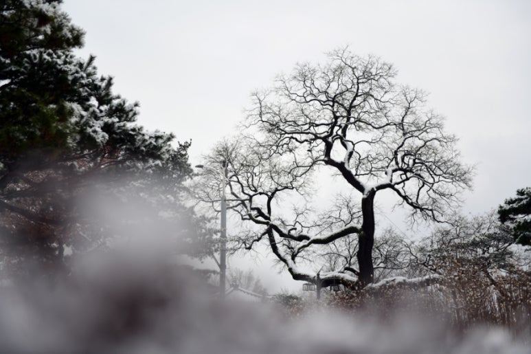 서울동산중기 이미지
