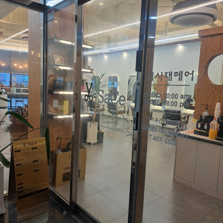 비사채 이미지