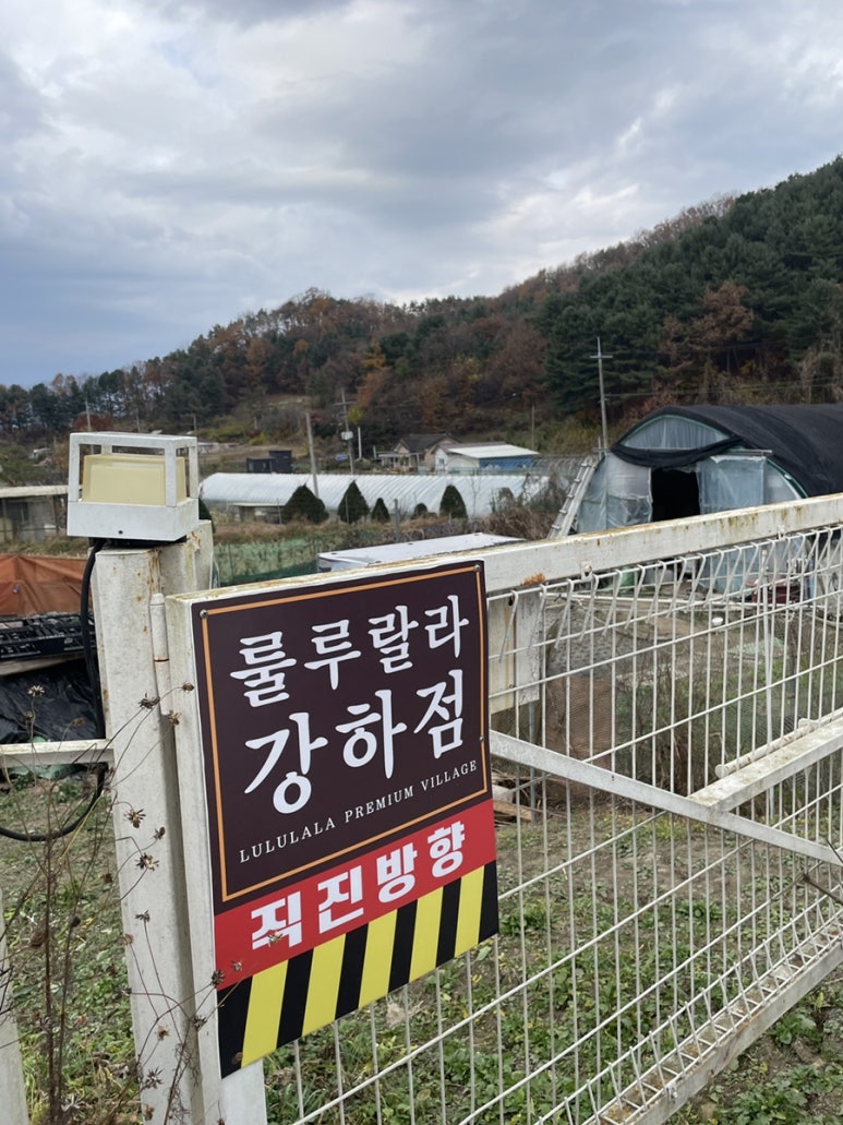 룰루랄라강하점 이미지