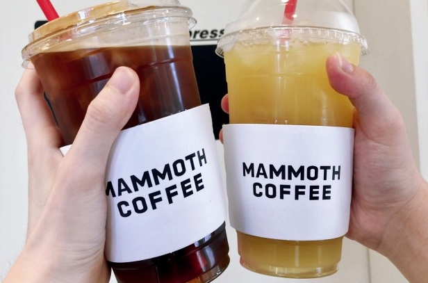 매머드익스프레스 이미지