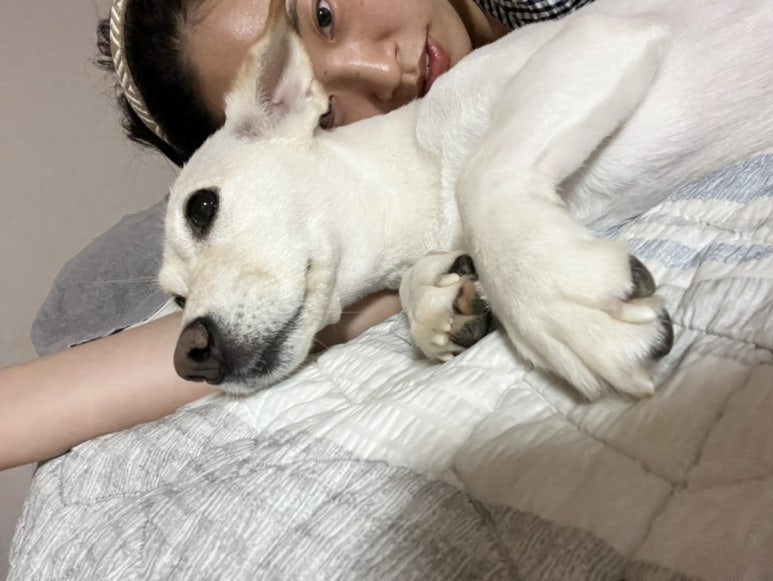 왈왈왈 이미지