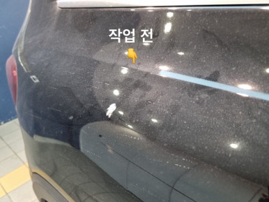카펙 이미지